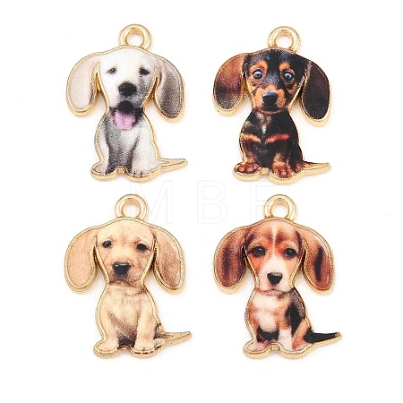 Alloy Pendants FIND-B062-07A-1