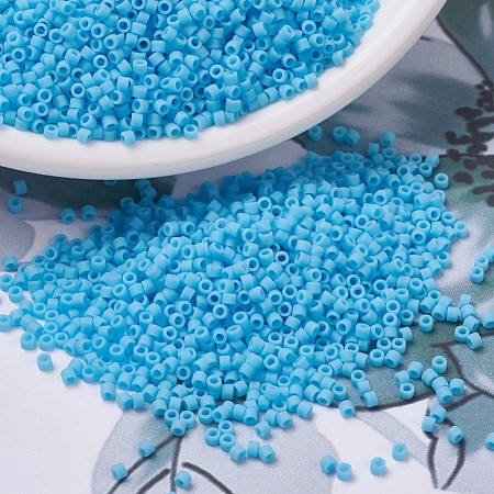 MIYUKI Delica Beads X-SEED-J020-DB0755-1
