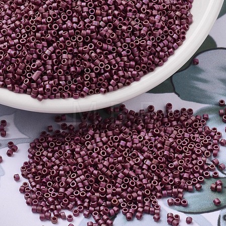 MIYUKI Delica Beads X-SEED-J020-DB2308-1