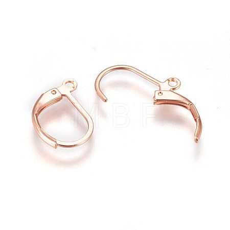 304 Stainless Steel Leverback Earring Findings X-STAS-E460-03RG-1