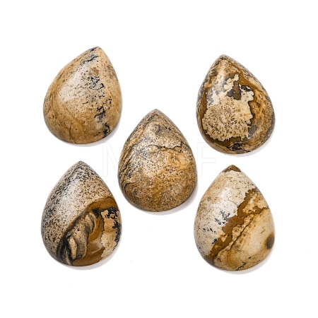 Natural Picture Jasper Cabochons G-B085-03B-10-1