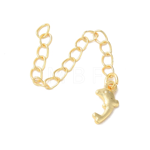 Rack Plating Brass Ends with Chain and Charms KK-F873-08G-1