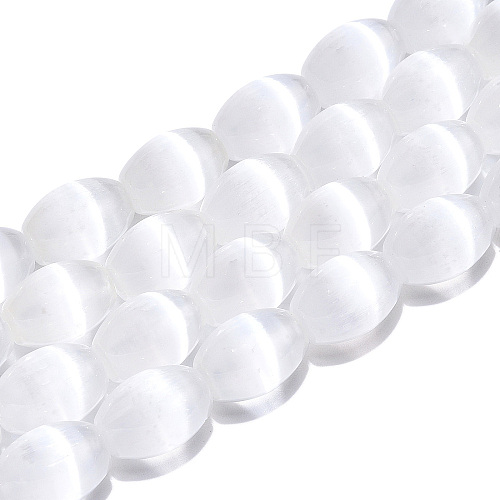 Dyed Natural Selenite Beads Strands G-T138-232A-1