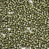 11/0 Grade A Baking Paint Glass Seed Beads SEED-S030-1037-2