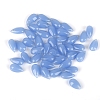 5Pcs Transparent Glass Beads GLAA-PW0001-25G-1