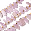 Natural Kunzite Beads Strands G-P604-A26-01-2