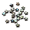 Natural Abalone Shell/Paua Shell Beads SHEL-B003-12-1
