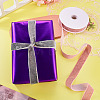 10 Yards Polyester Velvet Ribbon OCOR-TA0004-13A-7