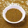 MIYUKI Delica Beads X-SEED-J020-DB2106-2