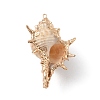Electroplate Spiral Shell Big Pendants BSHE-C004-06G-3