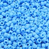 TOHO 6/0 Round Beads X-SEED-TR06-0043F-2