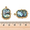 Natural Paua Shell Pendants STAS-G397-10G-02-3