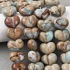 Natural Shoushan Stone Beads G-D098-B05-1