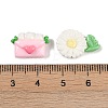 Opaque Resin Decoden Cabochons CRES-M036-09-3