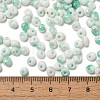 Baking Paint Glass Seed Beads X1-SEED-F006-01A-08-4