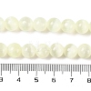 Natural Selenite Beads Strands G-C142-01B-05-5