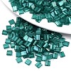 2-Hole Baking Paint Glass Seed Beads SEED-S031-L-ST108A-1