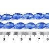 Transparent Glass Beads Strands EGLA-N013-T6mm-D10-4