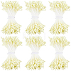 6Bundles Gypsum with Cotton Cord Artificial Flower Core DIY-GF0014-10A-1