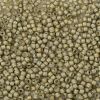 TOHO Round Seed Beads SEED-XTR08-0369FM-2