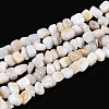 Natural Freshwater Shell Beads Strands SHEL-N037-04K-1