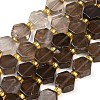 Natural Smoky Quartz Beads Strands G-F833-B07-01-2