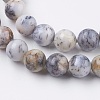 Natural White African Opal Beads Strands G-F563-03-8mm-3