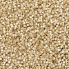 MIYUKI Delica Beads X-SEED-J020-DB0621-3