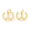 Brass Micro Pave Cubic Zirconia Charms ZIRC-O037-22G-2