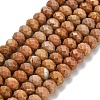 Natural Orange Sesame Jasper Beads Strands G-Z111-A41-3
