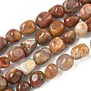 Natural Rainbow Petrified Wood Beads Strands GG-CBA9392-30-2