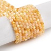 Natural Yellow Shell Beads Strands BSHE-G036-09B-1