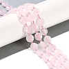 Natural Rose Quartz Beads Strands G-N342-07-2