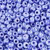 Glass Seed Beads SEED-A011-3mm-146-3