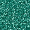 MIYUKI Delica Beads SEED-J020-DB1813-3