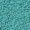 MIYUKI Delica Beads SEED-X0054-DB0166-2