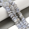 Natural Blue Lace Agate Beads Strands G-NH0017-C02-01-2