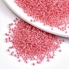 6/0 Glass Seed Beads X-SEED-A015-4mm-2204-1