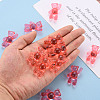 Transparent Acrylic Beads MACR-S373-01B-910-6