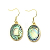 Brass Natural Paua Shell Dangle Earrings EJEW-M060-19C-G-4