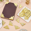 50Pcs Iron Triangle Corner Protector for Wood Box IFIN-FG0001-07G-4