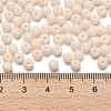 Opaque Colours Glass Seed Beads SEED-C001-02B-07-4