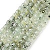 Natural Prehnite Beads Strands G-H042-A46-03-1