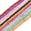 Natural Freshwater Shell Beads Strands SHEL-P017-01B-1