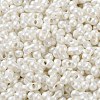 Glass Seed Beads SEED-L011-04A-21-3