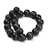 Natural Larvikite Beads Strands GSR20mmC128-5