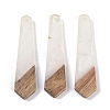 Resin & Wood Pendants WOOD-F015-05C-1