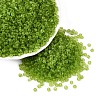 8/0 Glass Seed Beads SEED-A008-3mm-M4-1