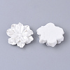 Resin Cabochons LS-X-RESI-S364-46B-2