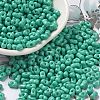 Baking Paint Glass Seed Beads SEED-K009-01A-10-1